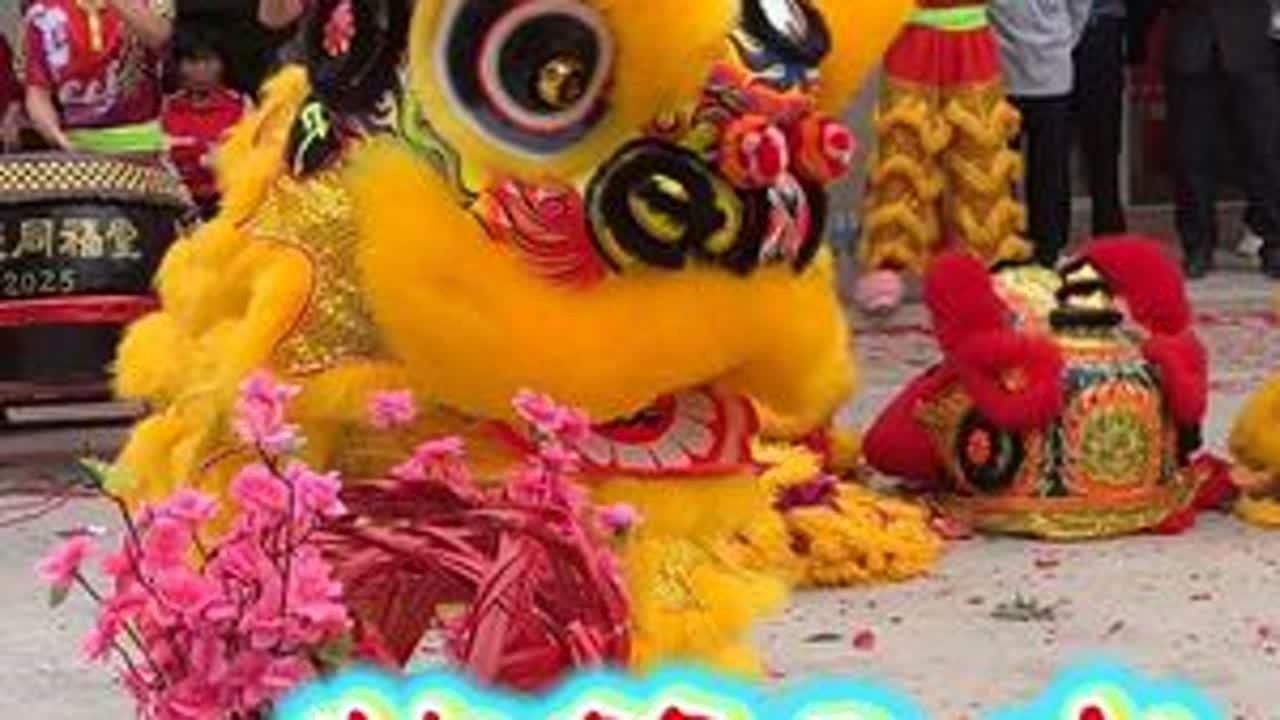 双城同福堂少年醒师艺团龙狮表演＂猪笼入水＂吸引众多民众