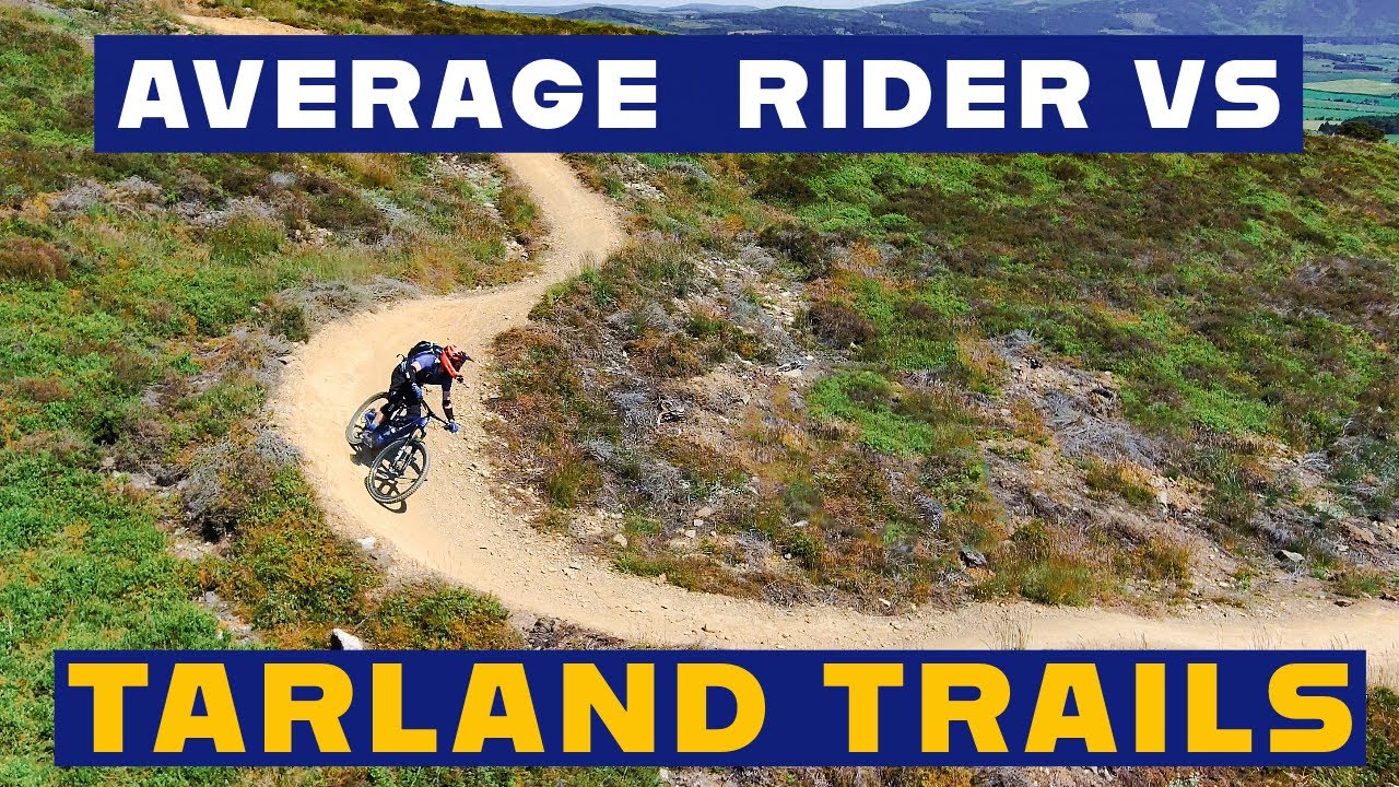 All the Blue and Red Trails at Tarland Trails