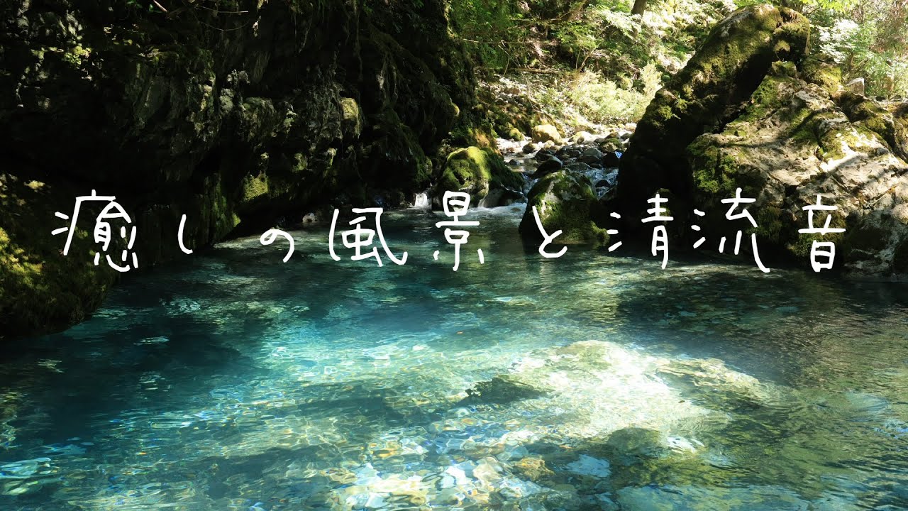 美しき苔と清流の世界