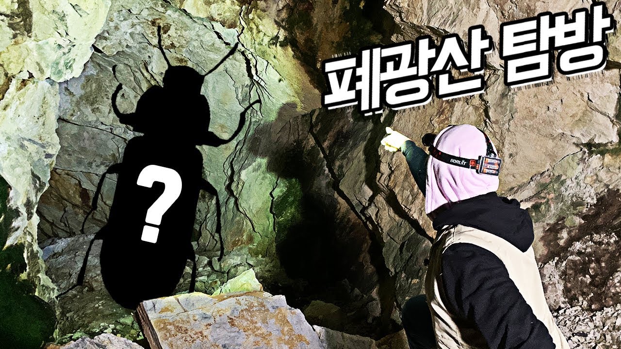 50년 된 폐광산 동굴에는 어떤 생물이 살까?..
