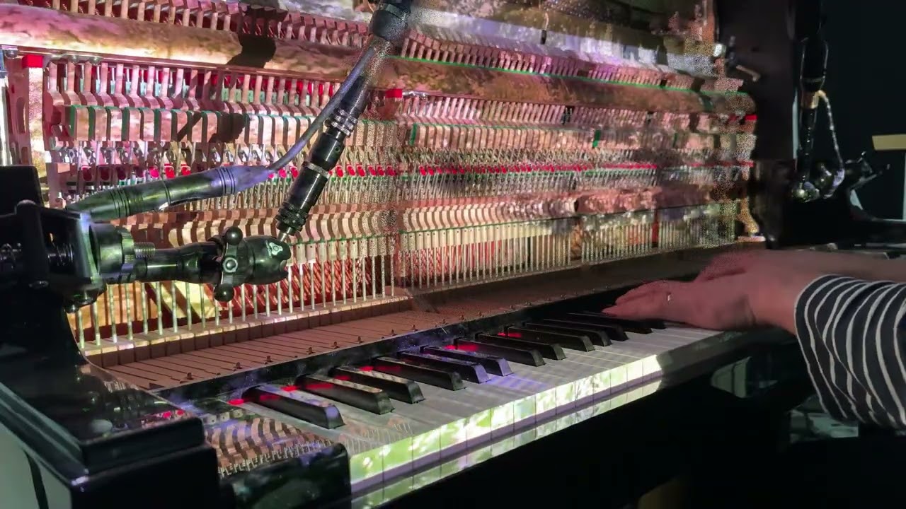 Htennek Niwhsa - unheeded pageant (Official Piano Playthrough)