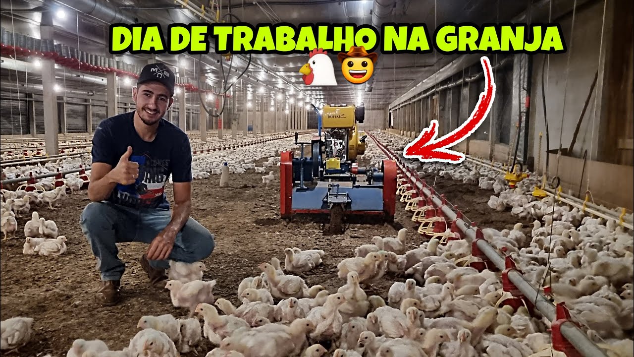 ACELERANDO O MOTOR 10.0 NA GRANJA 💥
