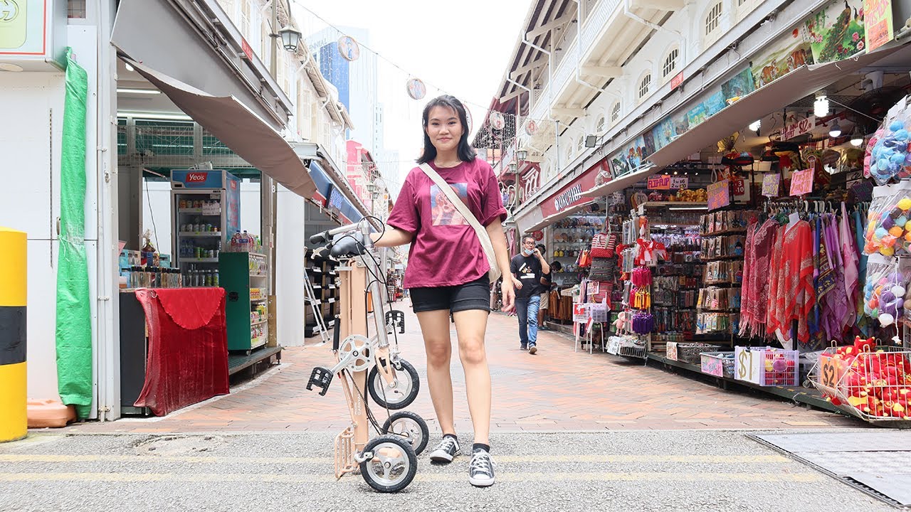 Adult Foldable Tricycle for People who Cannot Cycle: CarryAll
