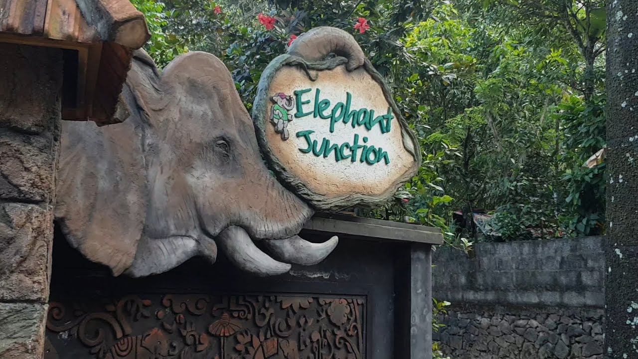 Tour At Thekkady Elephant Junction #thekkady #tour #youtube #green #scenery