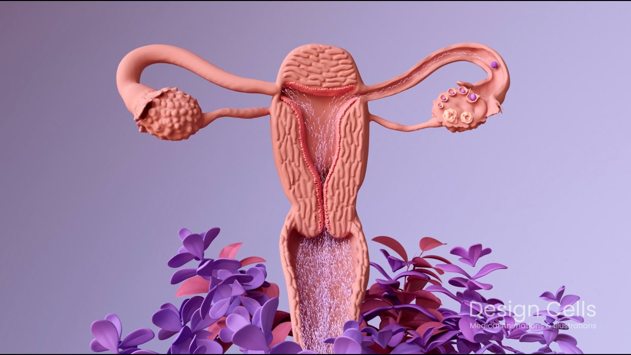 Travel of sperm