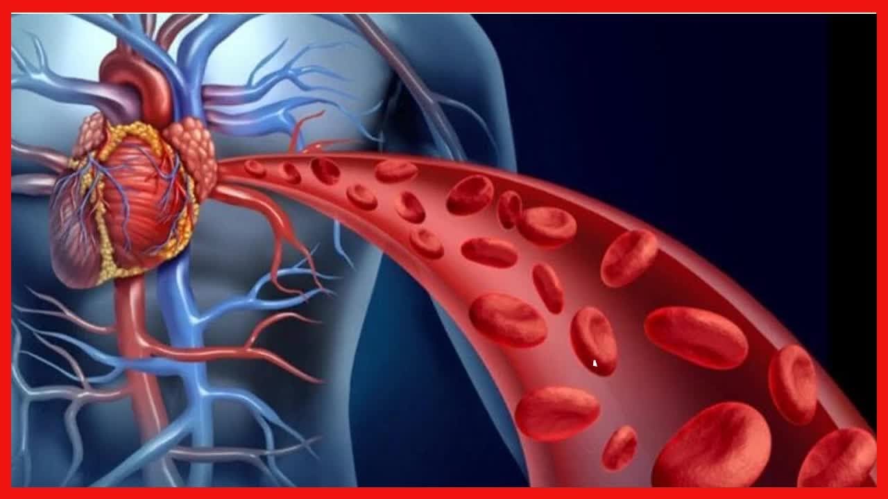 4 Naturmittel, um deinen Blutfluss zu verbessern