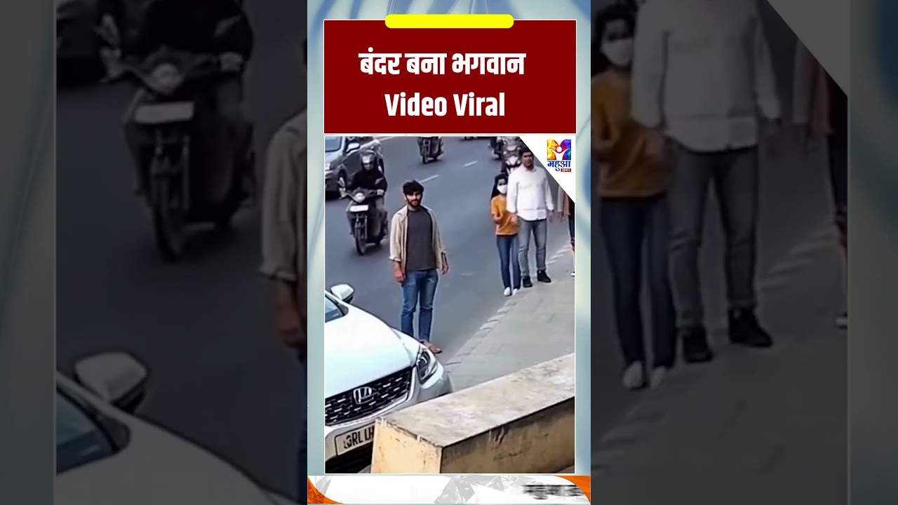#shorts : बंदर बना भगवान Video Viral | #monkey #viralvideo #ai #bhagawan #ytfeeds #news #carincident