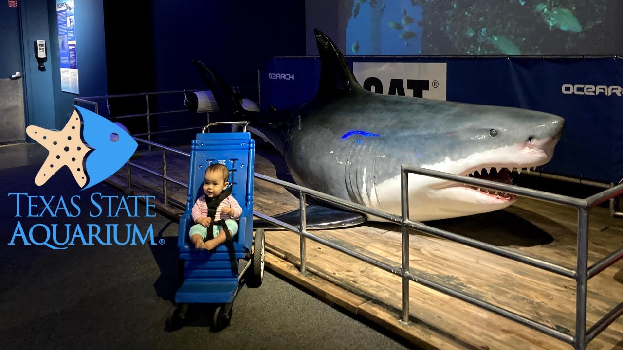 Texas State Aquarium Corpus Christi