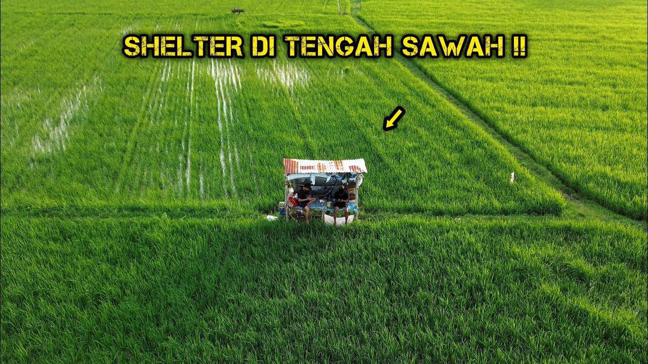 BERPETUALANG DI DESA !! FISHING CAMP ADVENTURE !! BERTAHAN HIDUP DI HUTAN !!