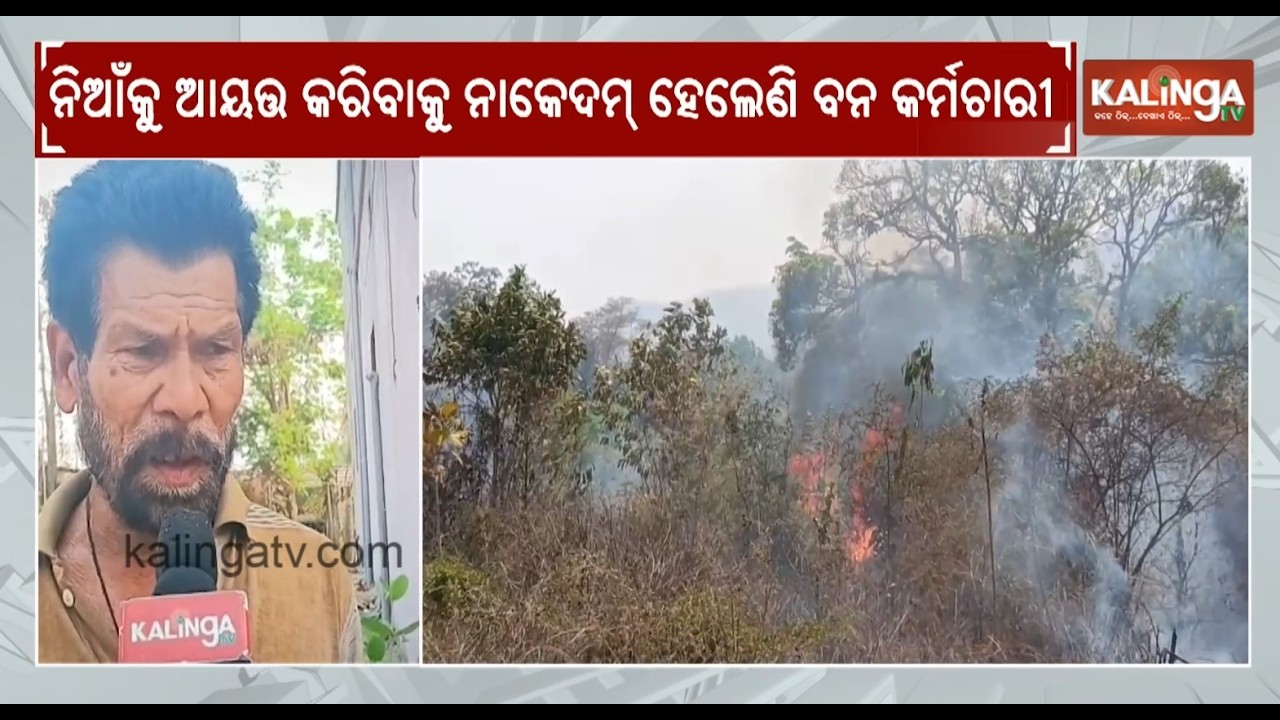 Forest fires erupt in Daspalla Forest Range | Kalinga TV