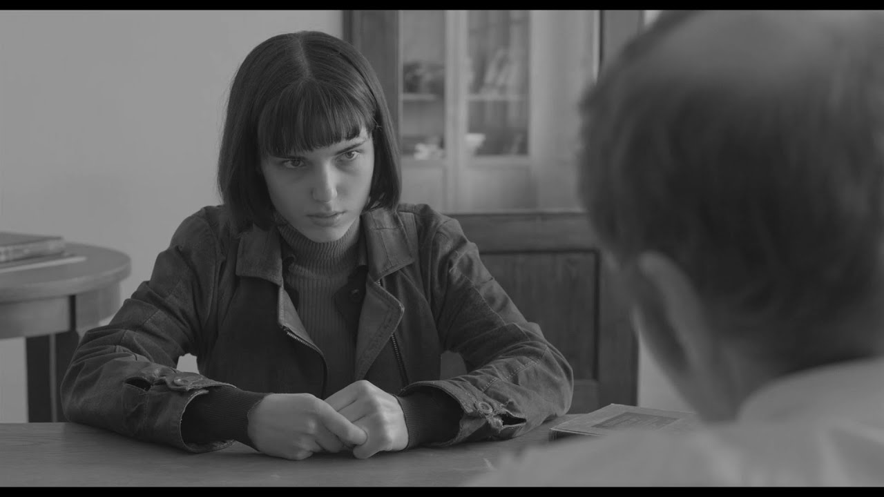 Olga mluv&iacute; s psychiatrem (J&aacute;, Olga Hepnarov&aacute;)