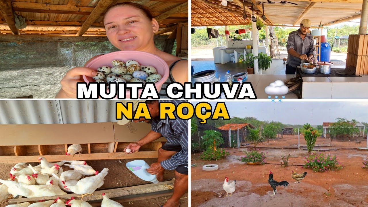 MUITA CHUVA🌧 FORTE  NA ROÇA 🏡 COM MINHA FAMÍLIA fiz frango caipira +PORQUE NÃO VENDEMOS OVOS CAIPIRA