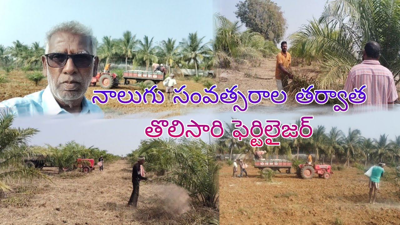 పామాయిల్ విజిట్ (రాచాలా విలేజ్ మహబూబ్ నగర్ డిస్ట్రిక్ట్)
