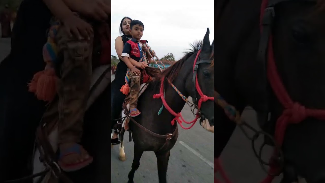 ghude pe swar ho kar chali me... waching my vlog video 🤭🐎🤭