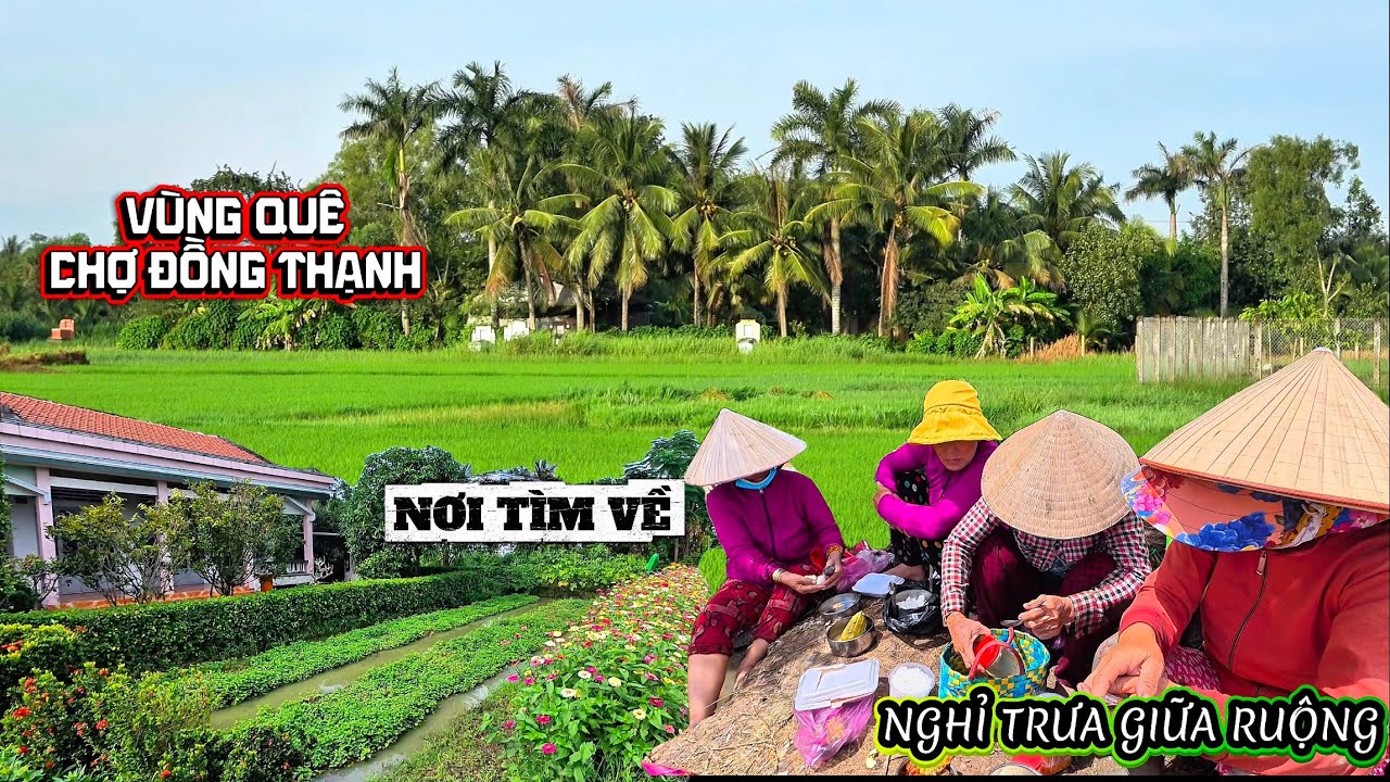 Đi Cấy Dở Cơm Theo Ăn Nghĩ Trưa Giữa Ruộng, Tìm Về Ký Ức Vùng Quê Chợ Đồng Thạnh Gò Công Xưa.