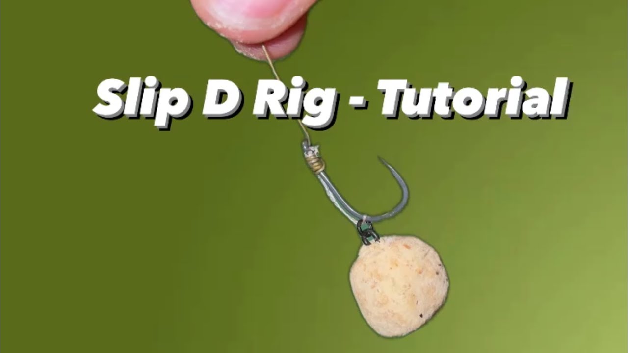 Slip D - Carp Rig Tutorial
