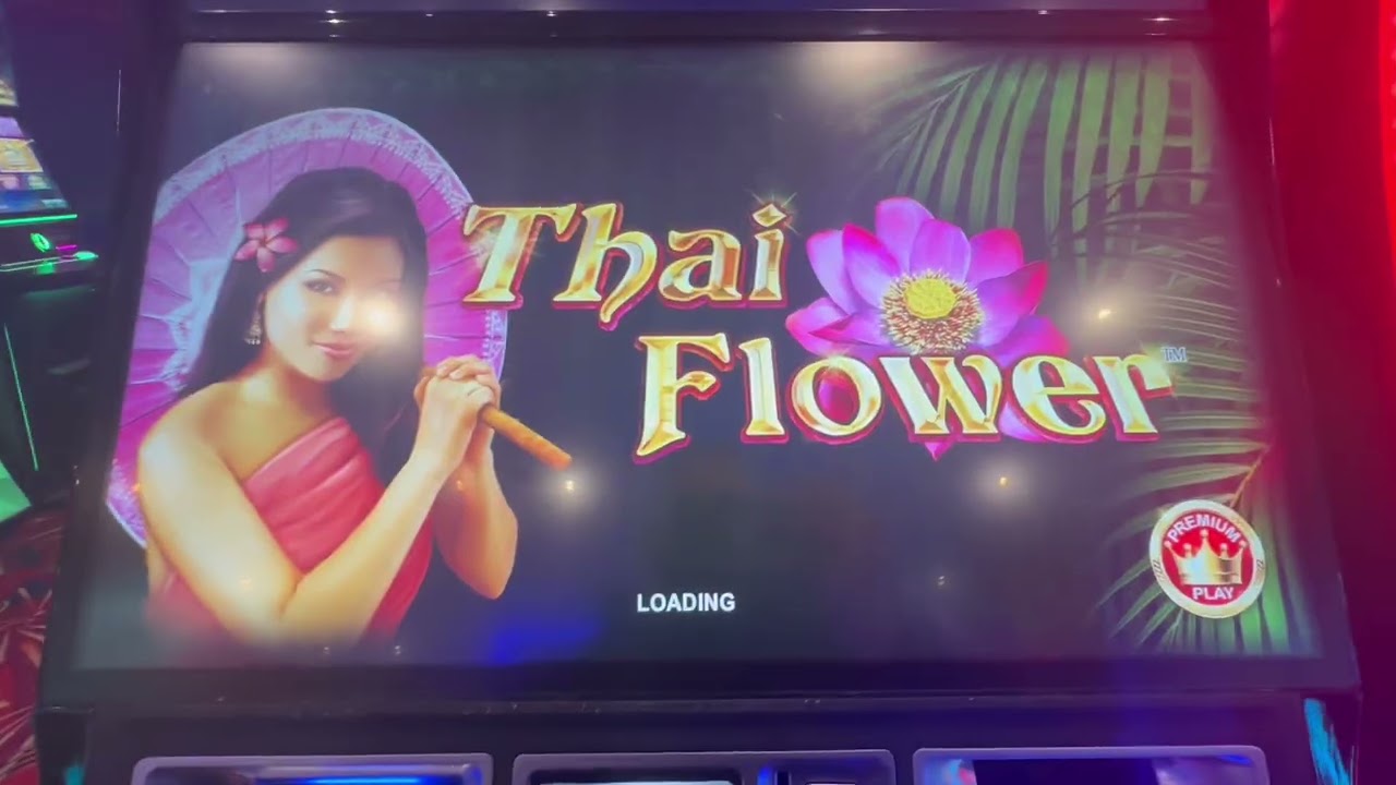 FOBT SLOT SESH. POG, Wild out laws , black knight original , Star turns and more !!!