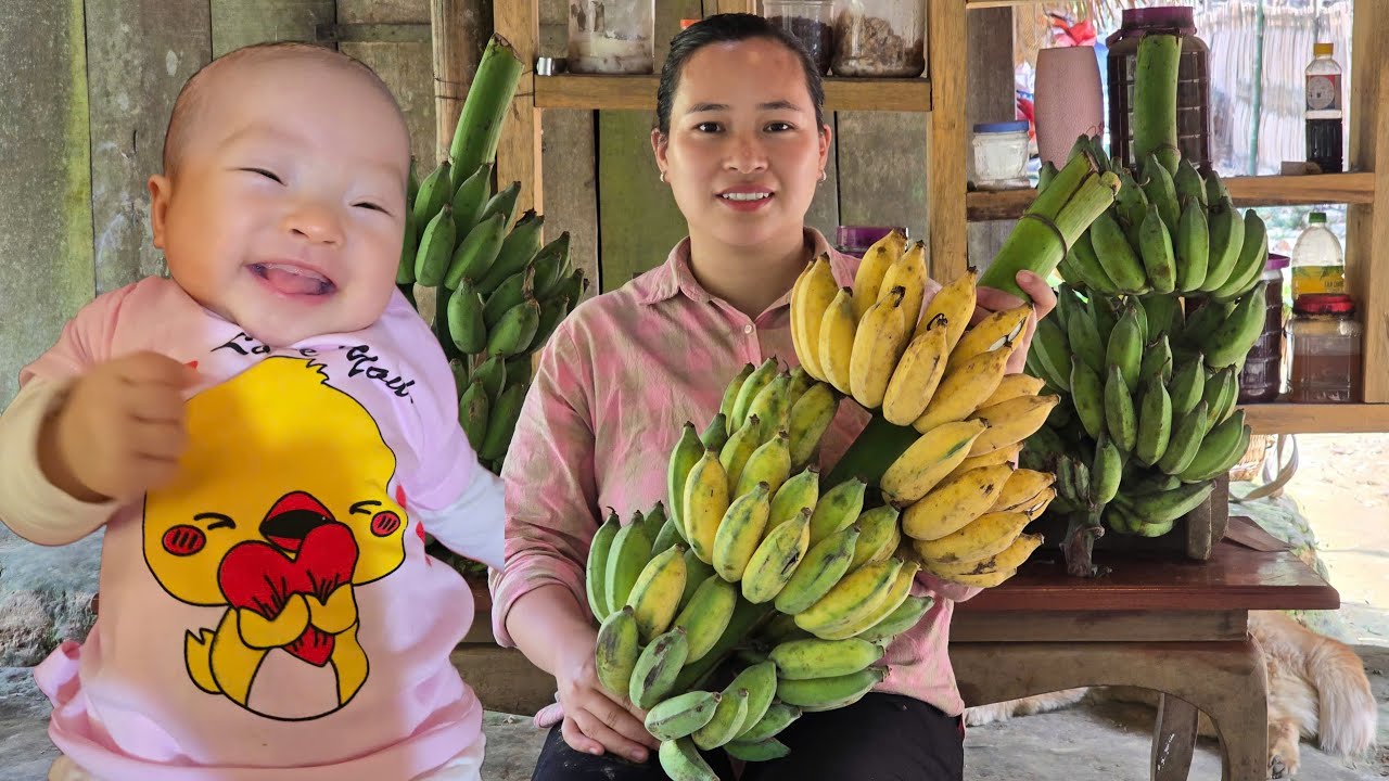 Harvest Green Bananas To Sell At Market - Get vegetables to feed the pigs | Ly Thi Ca