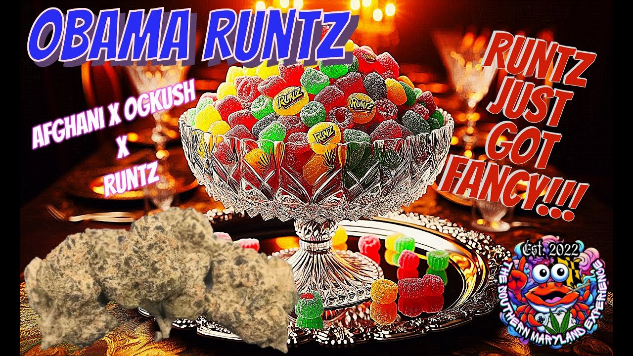 Trying TSME Obama Runtz THCa Flower - The Most Official Runtz!