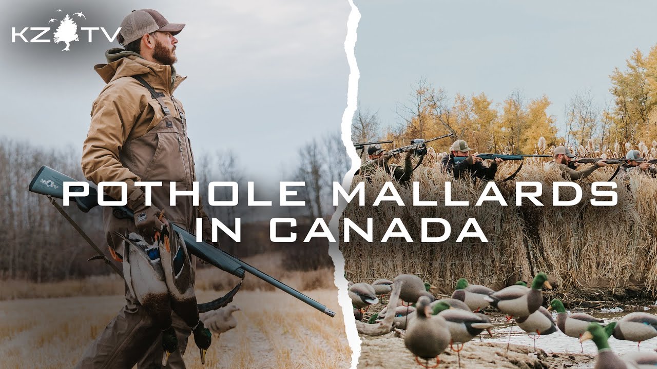 Pothole Mallards!! (Duck Hunting Canada) K ZONE TV: Alberta Season 3 EP: 4