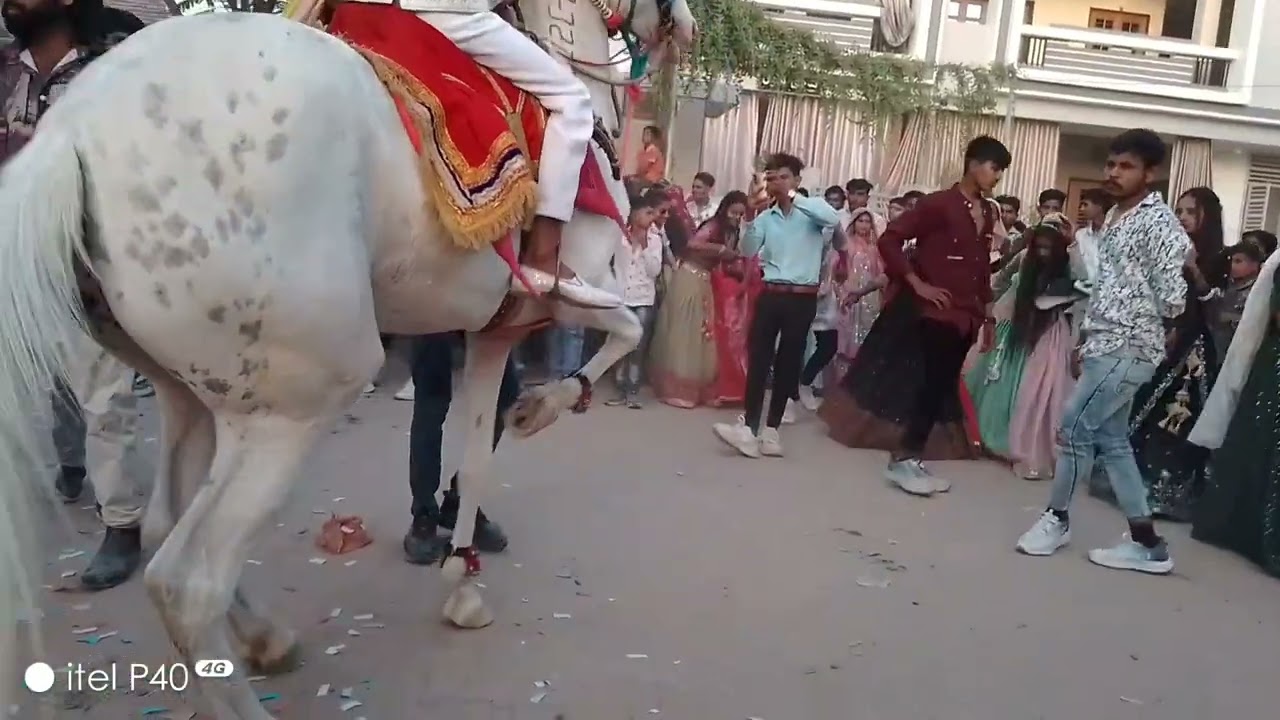 રાજા તોરલ અશ્વ ફાર્મ રાનેર ની મોજ વરઘોડામાં બુમ પડવી વિડીયો એન્ડ તક જોવ મજા આવી રાજા તોરલ