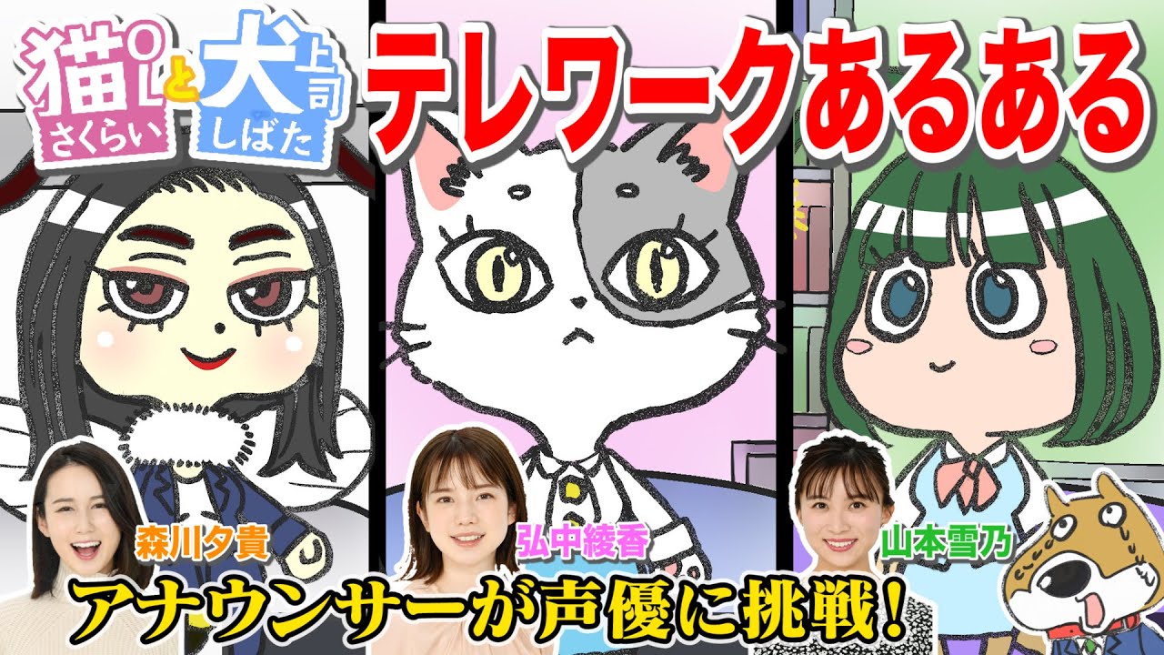 【テレワークあるある】アナウンサーが声優のショートアニメ!!＜猫OLさくらい＞