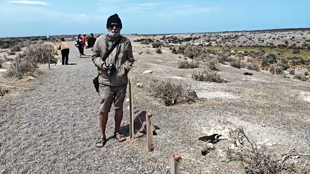  Pinguineira (Punta Tombo), Puerto San Julián, Guanacos, Choique e Rio Galegos. 