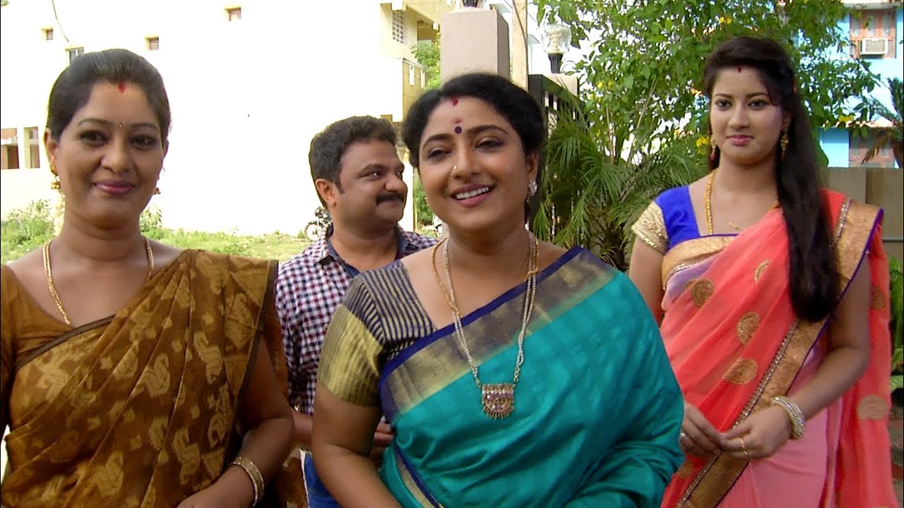 Priyamanaval Episode 184,  25/08/15