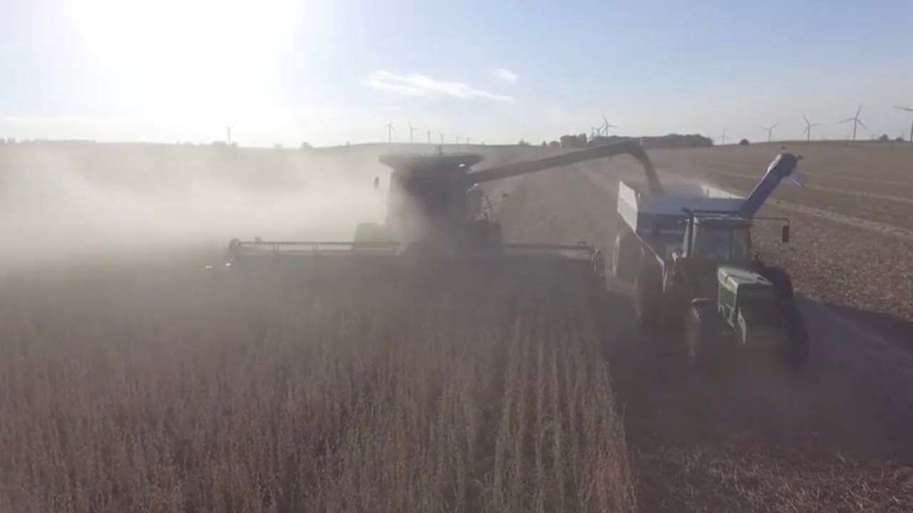 Soybean Harvest 2023