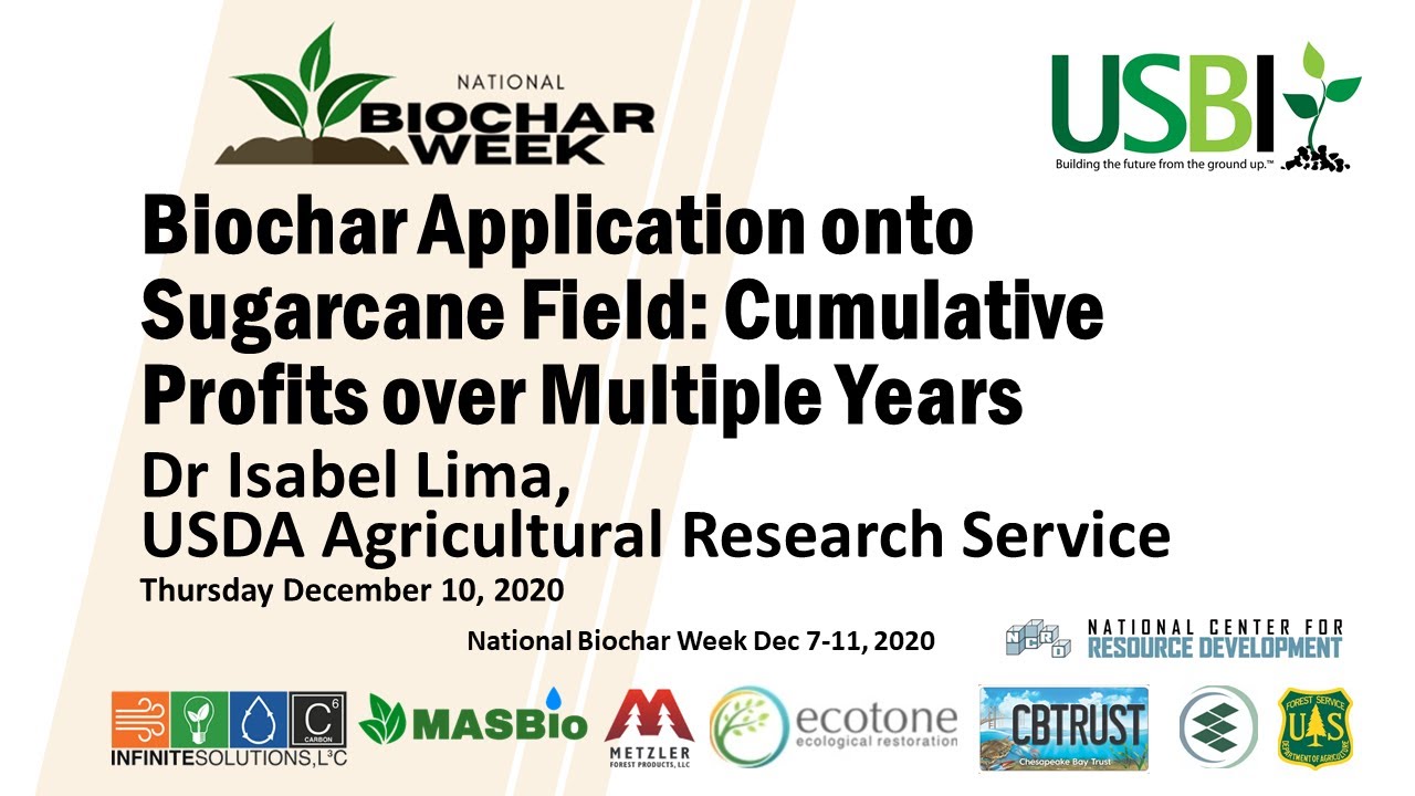 Dr Isabel Lima: Biochar Application onto Sugarcane Field: Cumulative Profits over Multiple Years