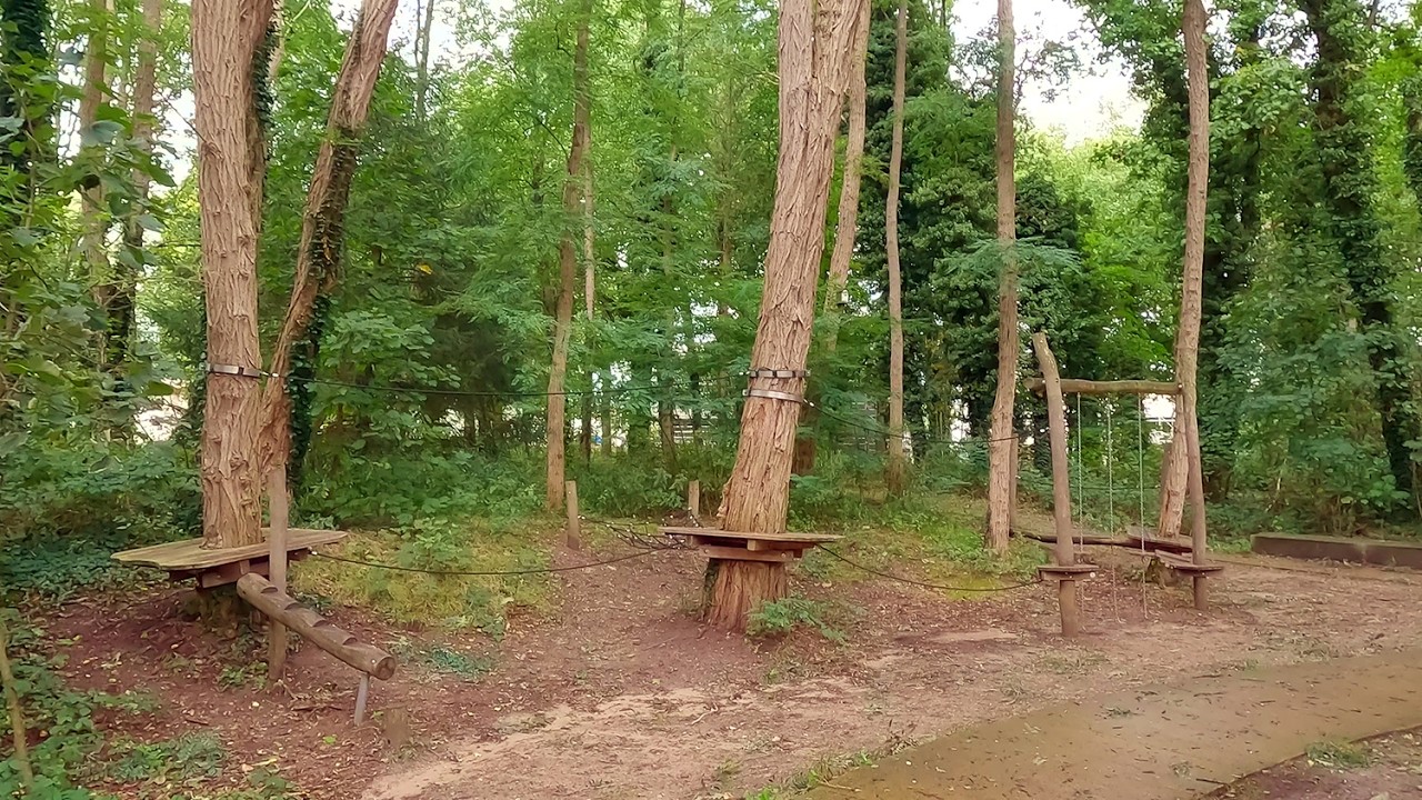 Ede’s Hidden Heritage: A Scenic Walk from Bos Park to the Trapakkers