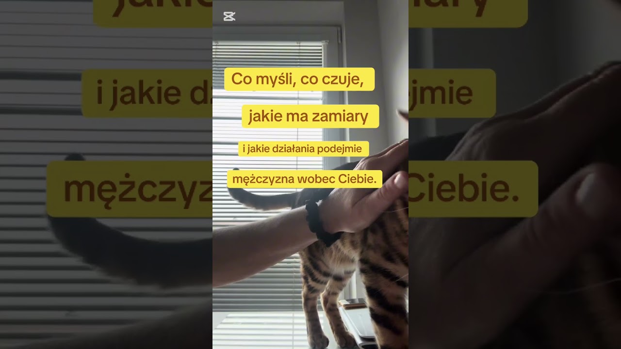 Co myśli, co czuje, jakie ma zamiary i jakie działania podejmie mężczyzna wobec Ciebie.
