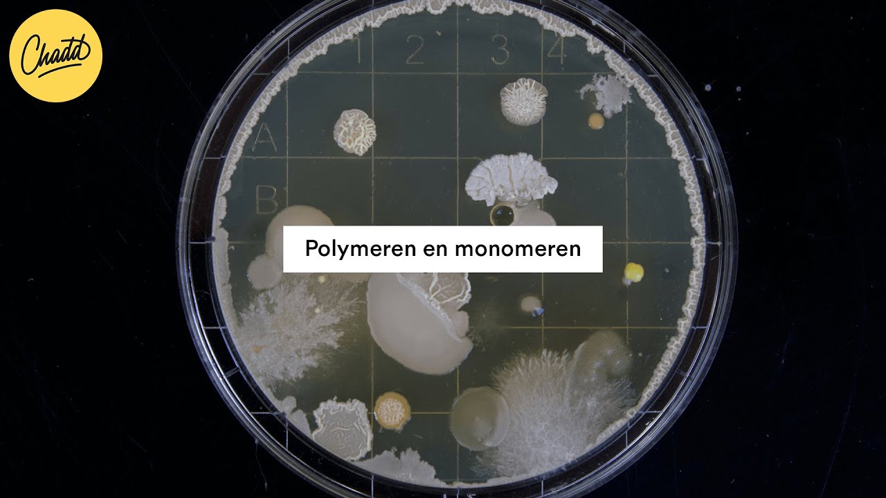 Polymeren en monomeren - Mr. Chadd Academy