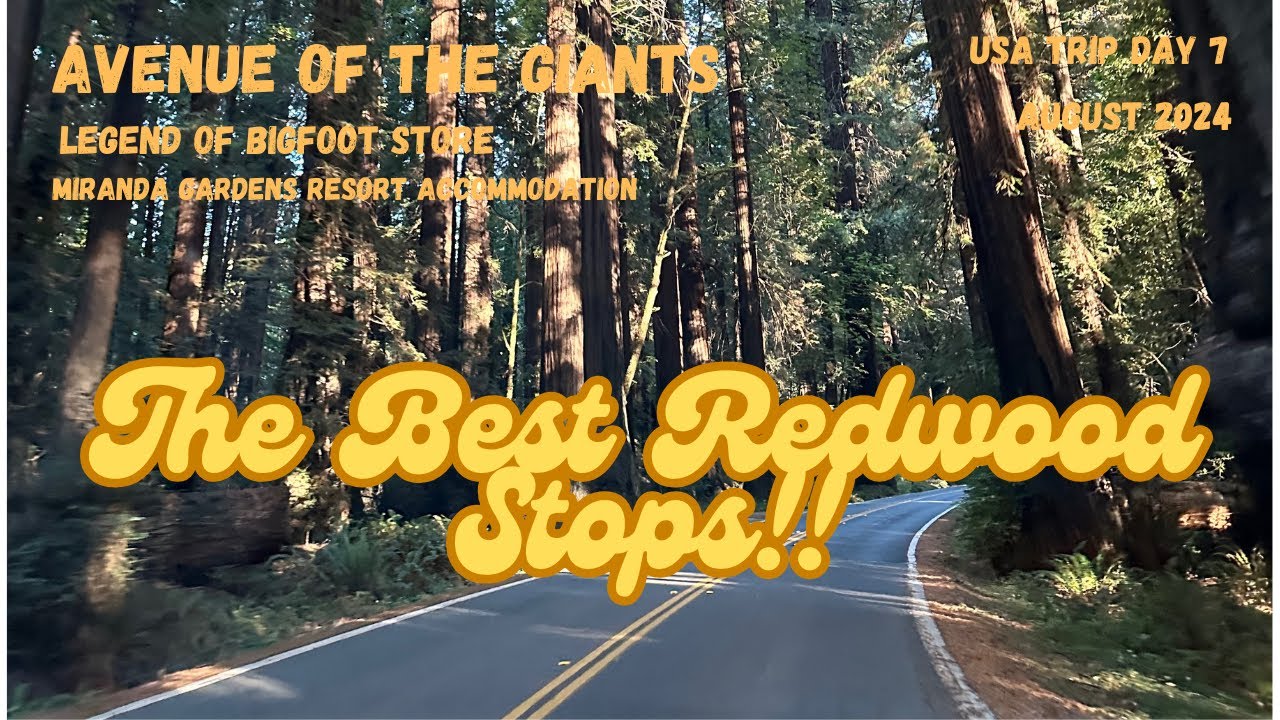 USA Trip Day 7 Avenue of the Giants, Miranda Gardens Resort, Legend of Bigfoot Store