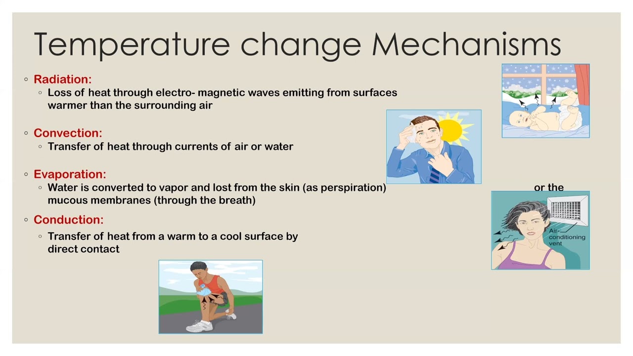 Vital Signs Lecture - Simple Breakdown You'll Actually Remember