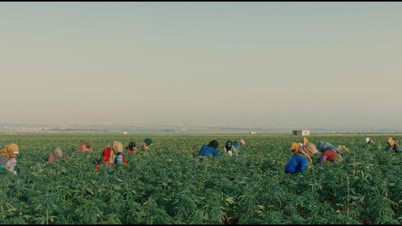 Documentary on the communities that harvest red hash in Lebanon | Heart Of Sky | 4:3 Short Film