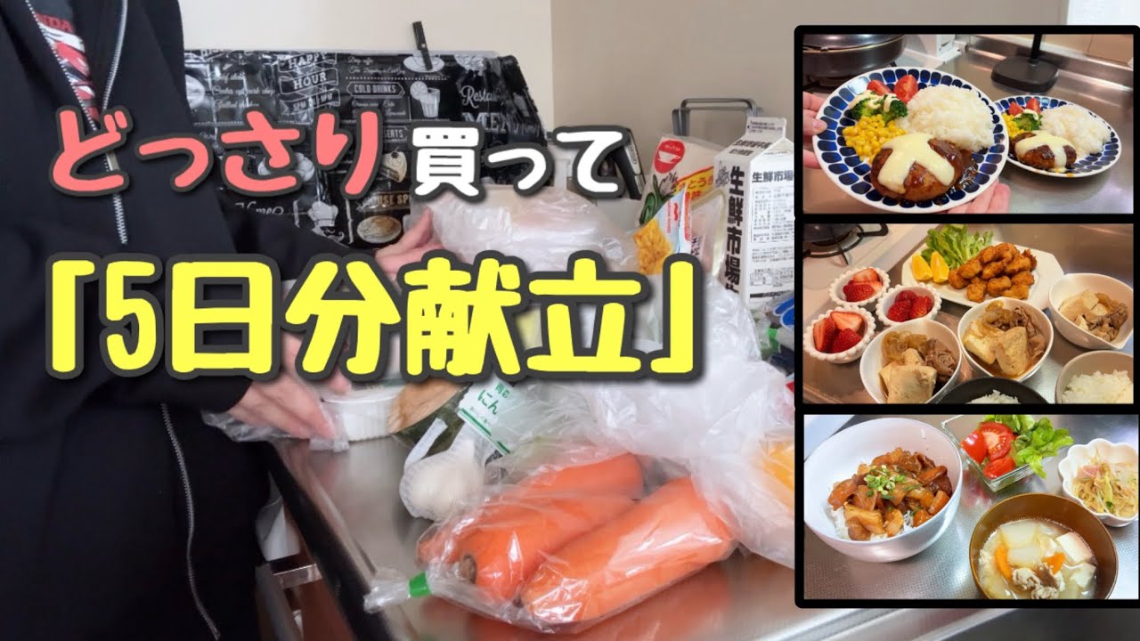 【5日間の献立】1週間分まとめ買いして作る夕飯準備|主婦の買物ルーティン|5日間のご飯作り