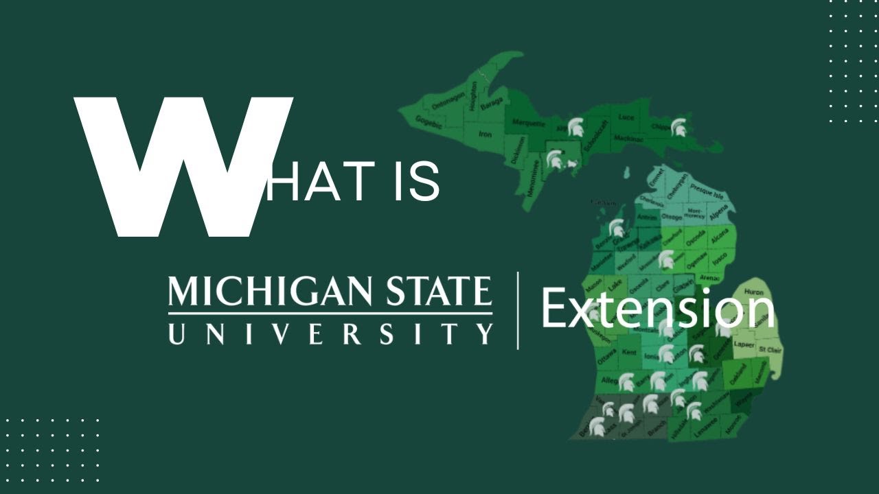 What is Michigan State University Extension?