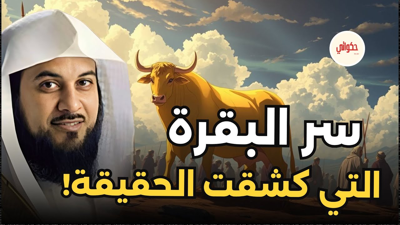 قصة بقرة بني اسرائيل وحقيقة اليهود - أعجب القصص مع الشيخ محمد العريفي