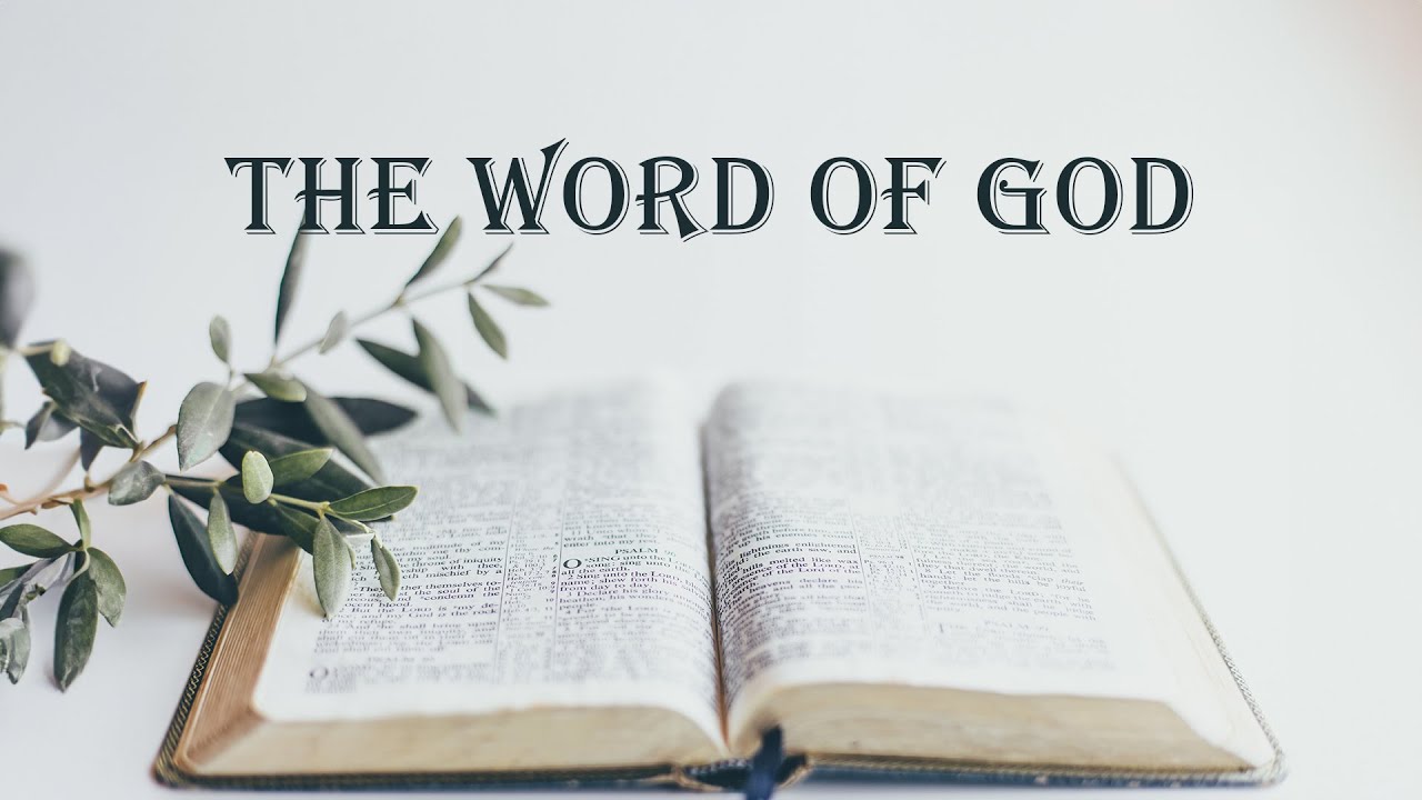 Sunday, July 16th, 2023 | The Word of God: Its Value | Rev. Doreen Comis