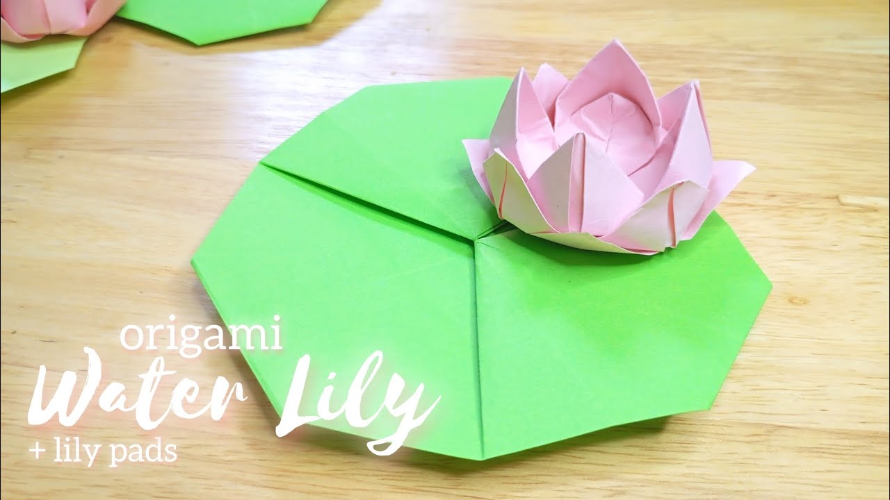Paper Water Lily - Origami Lotus flower step by step