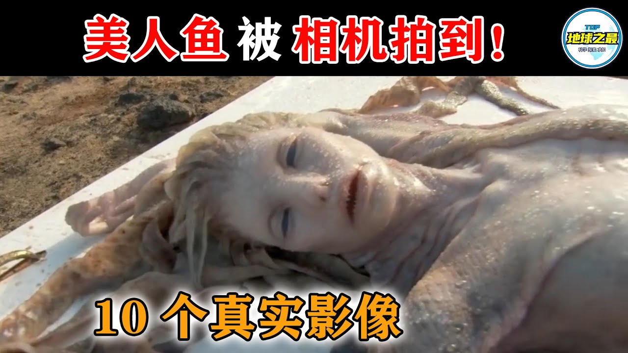 10个被相机真实记录的美人鱼！被冲上岸的它们，最后都去哪儿了？丨地球之最#冷知识 #排名 #世界之最#动物#top10#美人鱼#人鱼#世界最惊人的美人鱼目击事件
