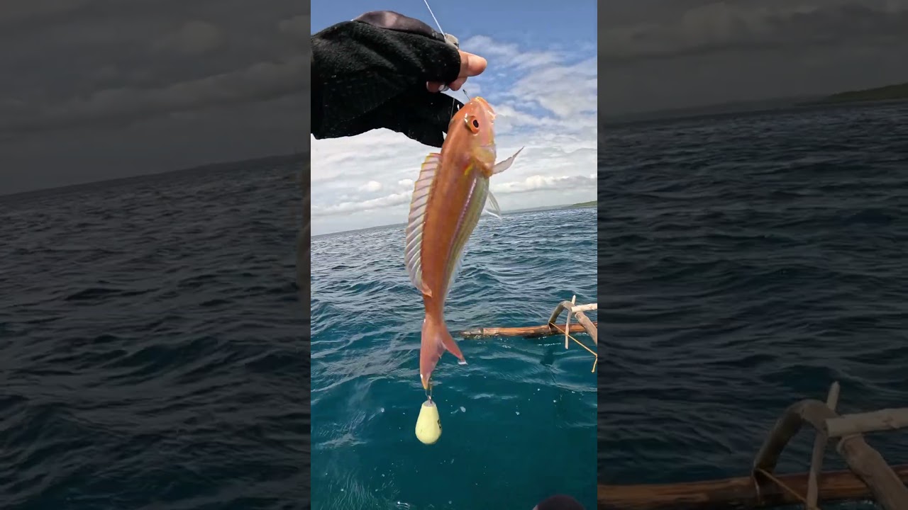 Bait and Wait (shrimp bait) #fishing #baitandwait  fishingvideo #catchingfish #baitcaster