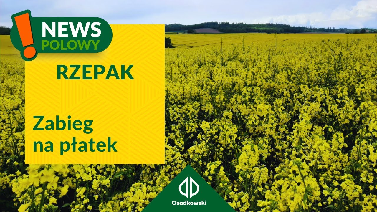 Zabieg na opadanie płatka