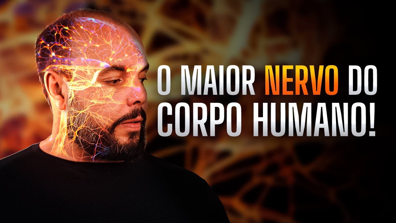 COMO o NERVO VAGO afeta o corpo?