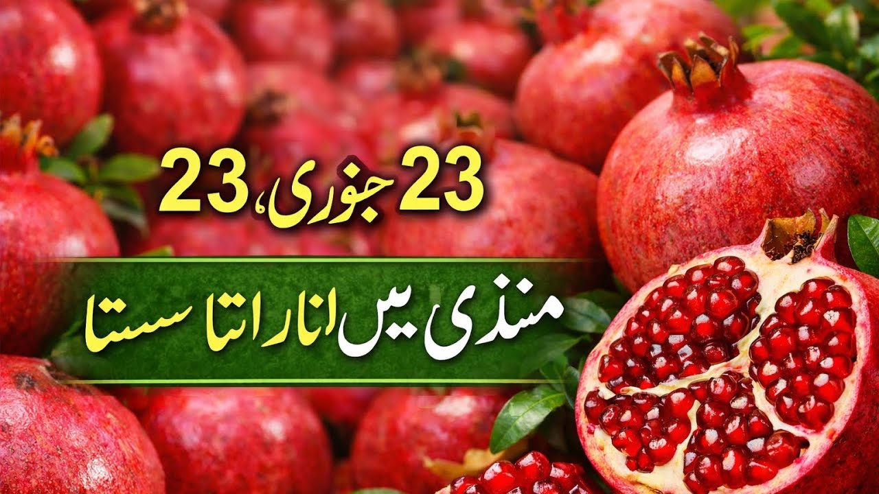 Anar ky boli 23 January 