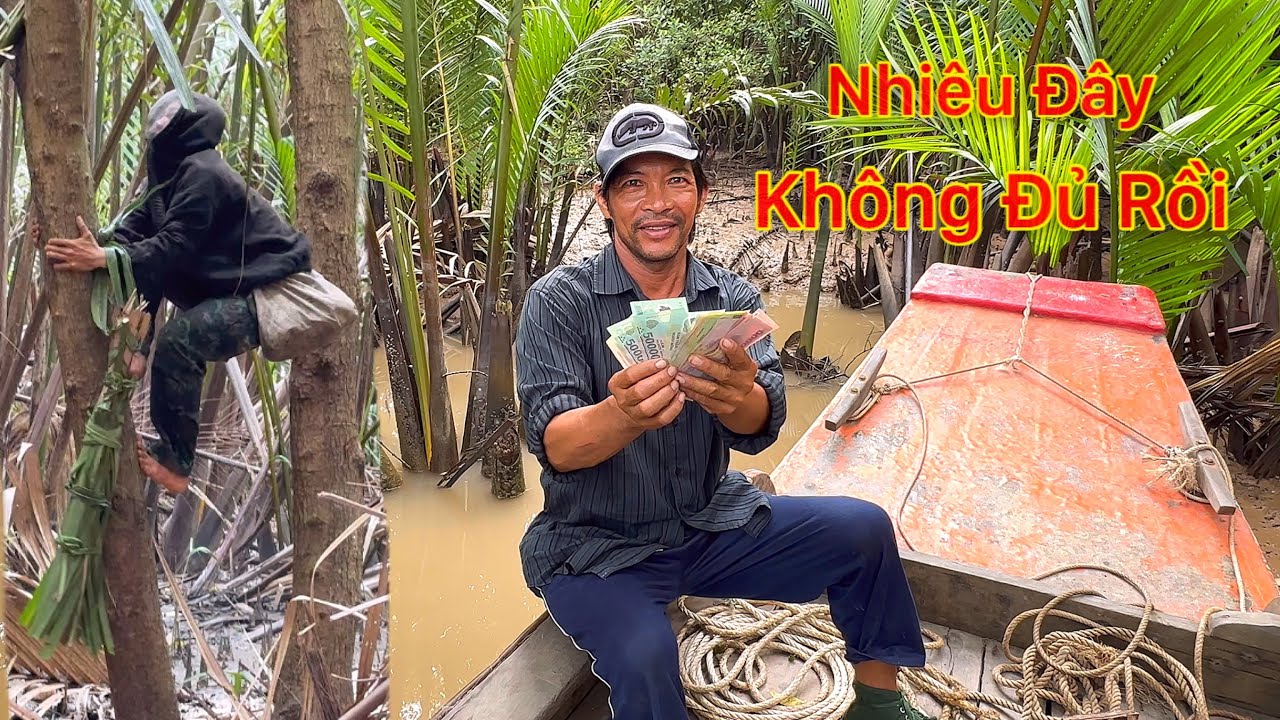 THÔI XONG RỒI LEO BẮT TỔ ONG RỚT TỪ TRÊN CÂY LỌT XUỐNG