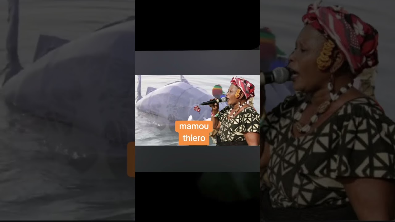 Mamou thiero sogoloudienikelen