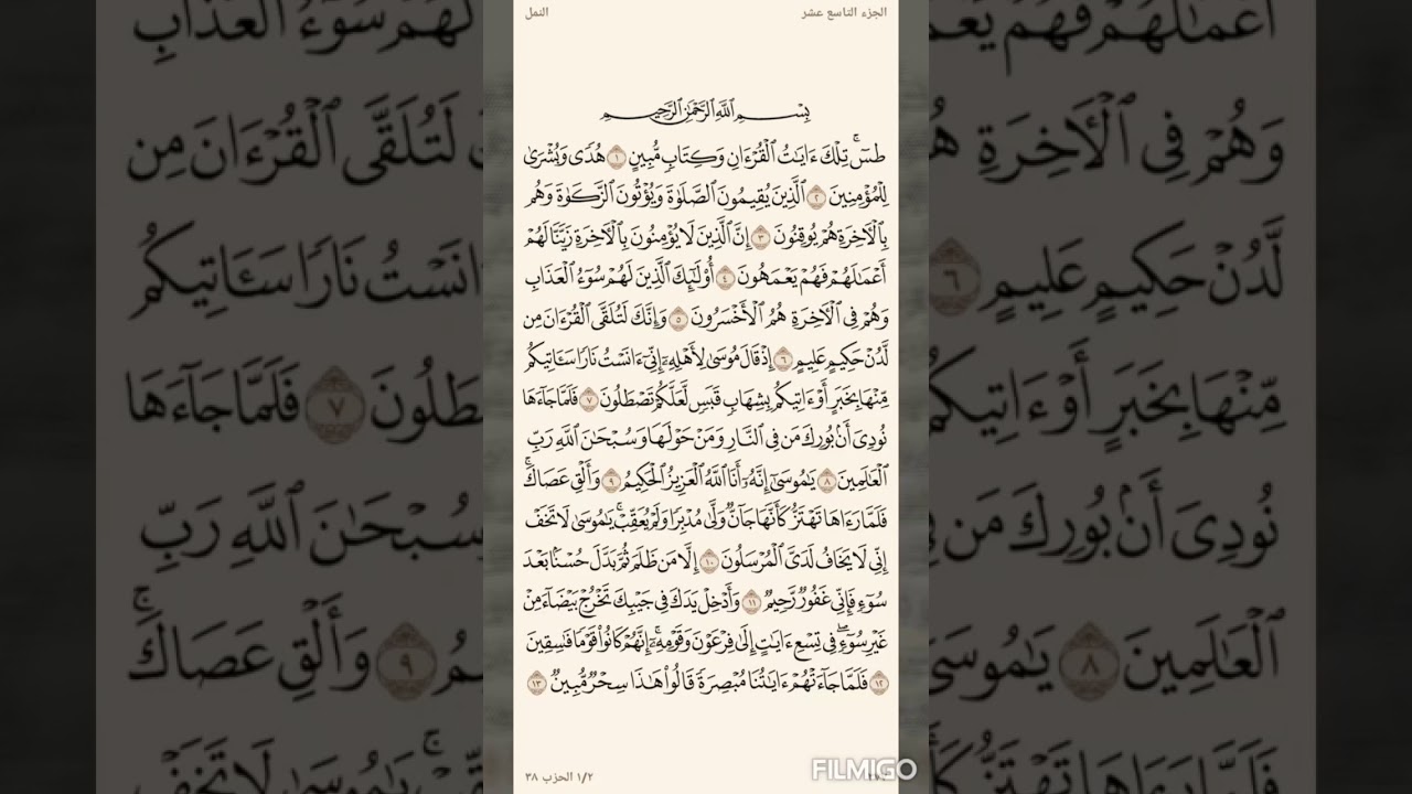تفسير السعدي صفحة 377 سورة النمل (1) الى الاية (13)