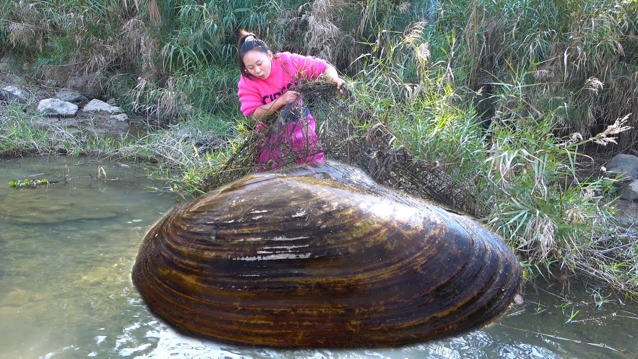 😱Opening the water grass, I found a giant clam with pearls inside that surprised the beautiful woman